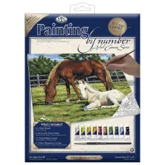 PCL2 | Painting by numbers&trade; 13pc 11" x 14" Horses in Field Canvas Painting Project