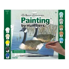 PAL35 | Painting by numbers&trade; 13pc 11.25" x 13.375" Geese Painting Project