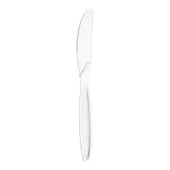 Clear Plastic Disposable Knives (1000 Knives)