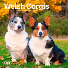 Welsh Corgis | 2026 7 x 14 Inch (Hanging) Monthly Mini Wall Calendar