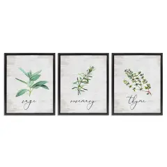 Stupell Industries Charming Summer Kitchen Herbs 3pc Floater Framed Canvas Wall Art Set Design by Lettered and Lined