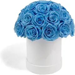 27 Preserved Roses in Round Dome Shape