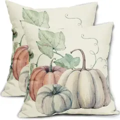 Set of 2 Fall Decor Pillow Covers 18x18 Inch