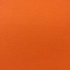 GOLDFISH - Textured 12x12 Cardstock - Encore Paper