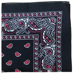 Mechaly Extra Large Unisex Paisley Cotton Bandanas - Pack of 2
