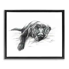 Stupell Industries Naptime Black Labrador Floater Framed Canvas Wall Art Design by Lindsay Kivi Fine Art