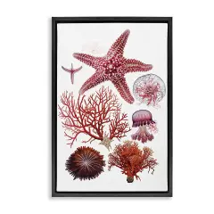 Stupell Industries Rosy Undersea Creatures Floating Frame Design by Ramona Murdock