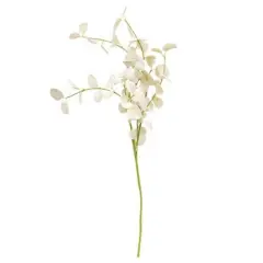 25&rdquo; Long Cream Foamy Silver Dollar Spray On Green Paper-Wrapped Stem