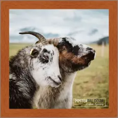 Square Flat Brown Picture Frame - UV Acrylic, Foam Board Backing, Hanging Hardware