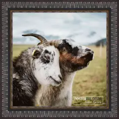 Square Ornate Black Picture Frame - UV Acrylic, Foam Board Backing, Hanging Hardware