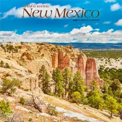 New Mexico Wild & Scenic | 2026 12 x 24 Inch (Hanging) Monthly Square Wall Calendar | Plastic-Free