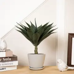 Northlight Potted Artificial Agave Plant - 18" Green