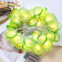 19.6FT LED Fruit Shape Decorative String Light Battery Light Orange Lime