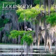 Louisiana Wild & Scenic | 2026 12 x 24 Inch (Hanging) Monthly Square Wall Calendar | Plastic-Free