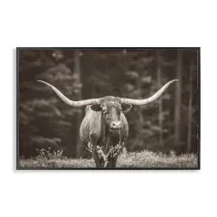 Stupell Industries Longhorn Among Flowers Framed Giclee Wall Art Design by Nathan Larson