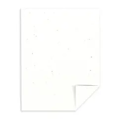 Astrobrights 12" x 12" 80# Cover Sheets Bulk Pack of 100 Stardust