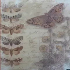 Butterfly Whispers Designer Printed AIDA Fabric. Canvas for embroidery with an applied backgroundKF-1360A