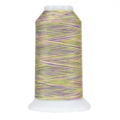 9067 Victoria Omni Variegated Polyester Thread