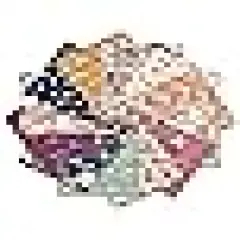 Wildflower Fat Quarters Vintage Flower Quilting Patchwork