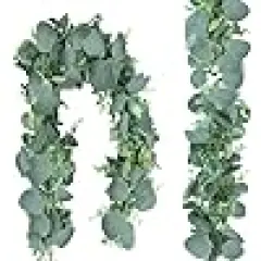 Silver Dollar Eucalyptus Leaves Hanging Vines