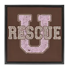 Stupell Industries Rescue U Vintage College Framed Floater Canvas Wall Art Design by Spirit Animals/Life Is High