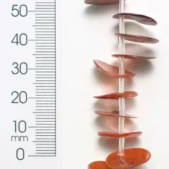 6 Packs of Button Tinted Shell Beads - Beige - 15mm - 2 x 8" Strand