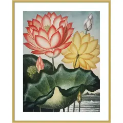 Temple of Flora V by Dr. robert j. Thornton Wood Framed Wall Art Print