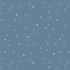 Starry Whispers in Mist (coh28901) | Coyote Hill | Katie O'Shea | Art Gallery