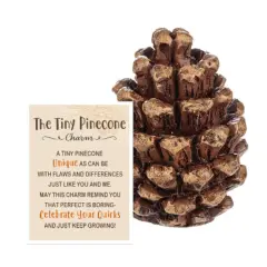 The Tiny Pinecone Pocket Charm