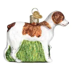 Old World Christmas 2.75 In Brittany Spaniel Christmas Tree Ornament , Unconditional Love Multicolored