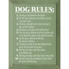 Solid Knotty Pine Wood Sign - 10 Dog Rules Home Decor Sage-White