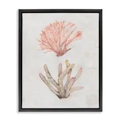 Stupell Industries Peach Coral Pieces Floater Framed Canvas Wall Art Design by Filippo Ioco