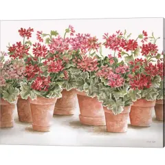 Potted Geranium Mix I by Cindy Jacobs 20" x 16" Canvas Wall Art