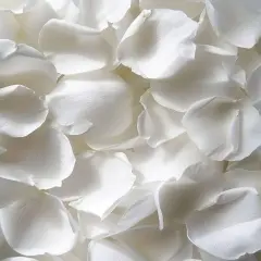 REAL Rose Petals, Pearl White Freeze-Dried Petals Biodegradabel Wedding Natural Confetti, Perfectly Preserved Flower Petals