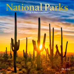 National Parks | 2026 7 x 14 Inch (Hanging) Monthly Mini Wall Calendar | Foil Stamped Cover