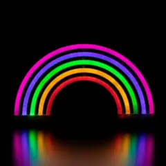 Northlight LEDRainbow Neon Lighted Wall Art - 12"- Mutlticolor Multi