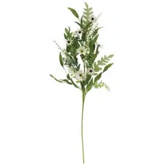 Cape Daisy Astilbe & Herb Spray