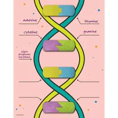 DNA Builder, 9 Pieces