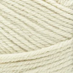 Lion Brand Basic Stitch Anti-Pilling Yarn