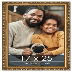 17x25 Museum-Quality Picture Frame with UV-Resistant Acrylic & Acid-Free Backing, Available in 4 Finishes - Gold, Silver, Bronze, and Black