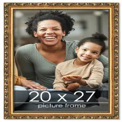 20x27 Museum-Quality Picture Frame with UV-Resistant Acrylic & Acid-Free Backing, Available in 4 Finishes - Gold, Silver, Bronze, and Black