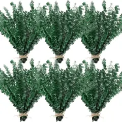 80 Pcs Large Dried Eucalyptus Stems 17inch Natural Real Fresh Eucalyptus Branches for Shower Hanging Fresh Plant Greenery Leaves for Wedding Bathroom Vase Filler DIY Garland Decor