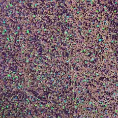 1 Yard Sequins Embroidered Stretch Velvet Rodeo Fabric Dark Lavender