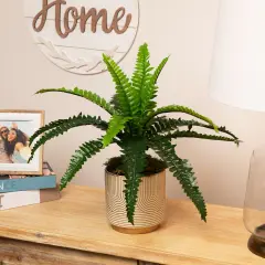 Northlight Potted Artificial Long Green Boston Fern Plant - 15.75"