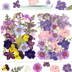 58Pcs Pressed Flowers for Craft Purple Real Natural Dried Flowers
