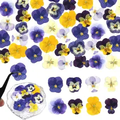 56 Pcs 8 Kinds Dried Pressed Pansies Flowers