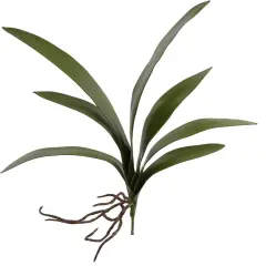 20" Cymbidium Orchid Leaf Cluster Pick - 48-Pack, Lifelike Greenery, Perfect for Floral Arrangements, Home & Event D&eacute;cor - Ideal for All Seasons, Floral Home by Artificial Flowers