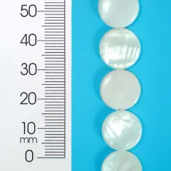 6 Packs of Tinted Shell Round Natural 2x8" Strand