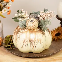 Northlight Pumpkins and Berries Fall Harvest Decoration - 9" White