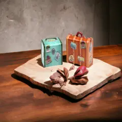 Ceramic Suitcase Luggage Salt & Pepper Shakers, Home D&eacute;cor, Gift for World Traveler, Gift for Her, Gift for Mom, Kitchen D&eacute;cor